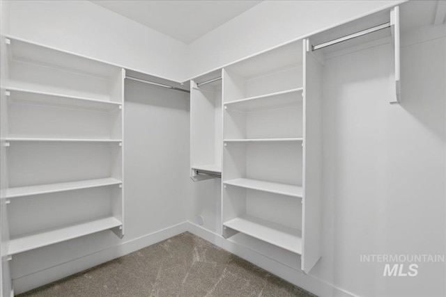 7779 W Daybreak Run Ct, Meridian, ID 83646 - walk in closet with carpet