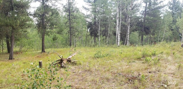 99 Sundance, Mccall, ID 83638