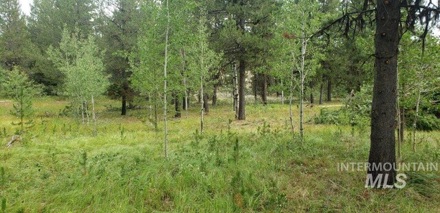 99 Sundance, Mccall, ID 83638