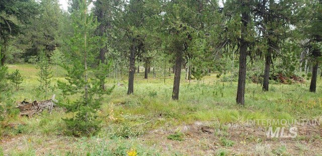 99 Sundance, Mccall, ID 83638
