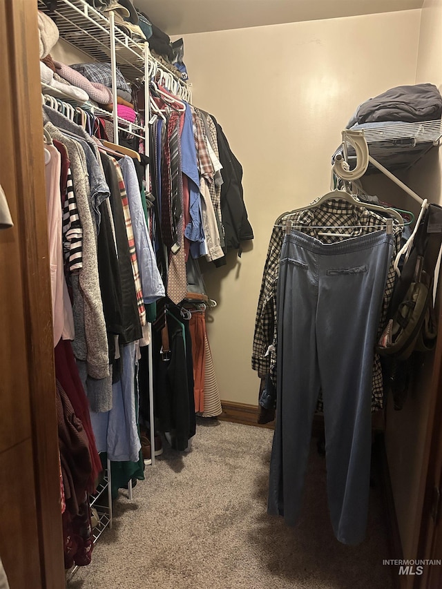 spacious closet featuring carpet floors