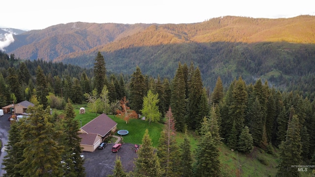 drone / aerial view featuring a mountain view and a forest view