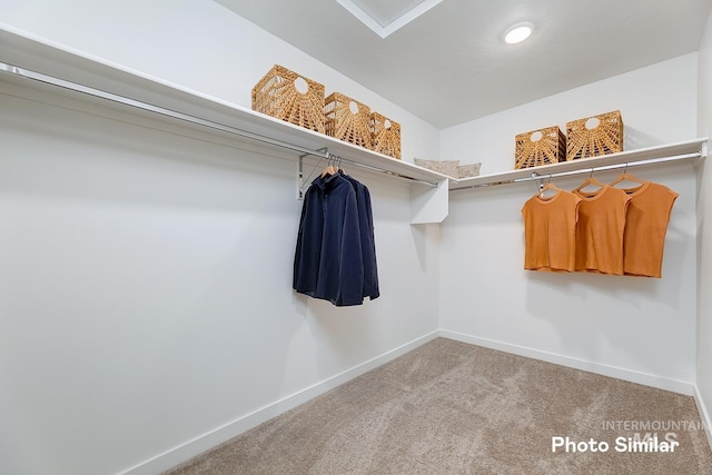 spacious closet featuring carpet flooring