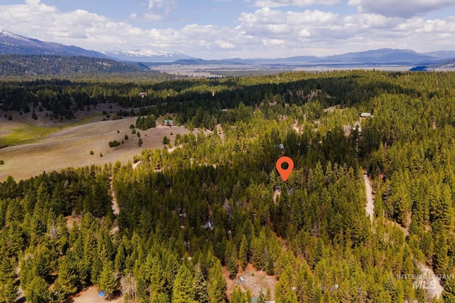 drone / aerial view of a forest and a mountainous background
