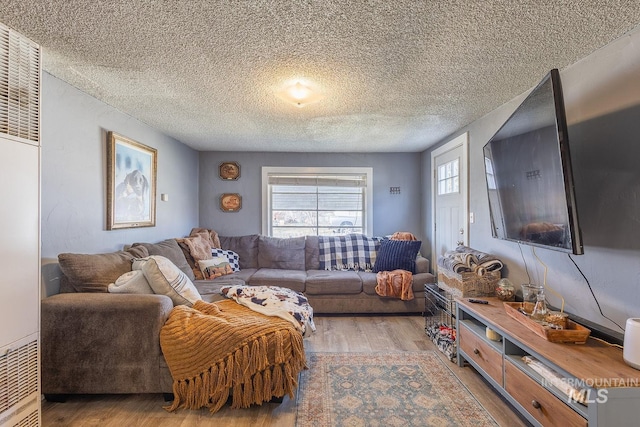 living room featuring a textured ceiling and wood finished floors