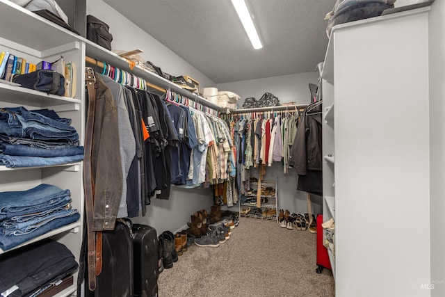 1417 Scranton Ave, Caldwell, ID 83605 - spacious closet featuring carpet flooring