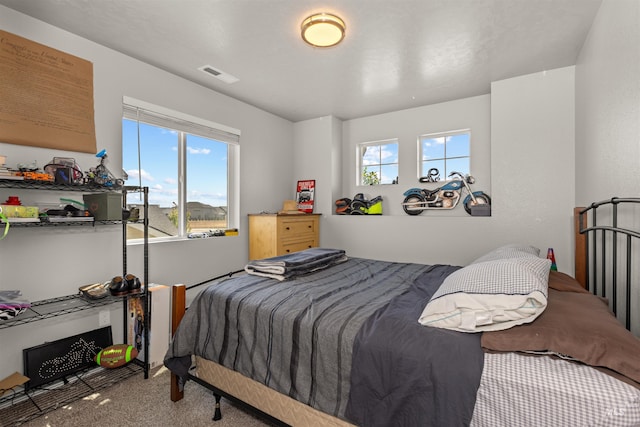 1417 Scranton Ave, Caldwell, ID 83605 - bedroom featuring carpet floors