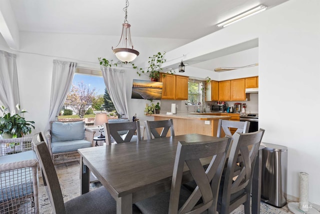 389 Trotter Dr, Twin Falls, ID 83301 - dining area featuring healthy amount of natural light and vaulted ceiling