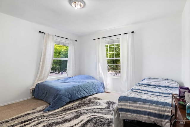 389 Trotter Dr, Twin Falls, ID 83301 - bedroom featuring carpet, multiple windows, and baseboards