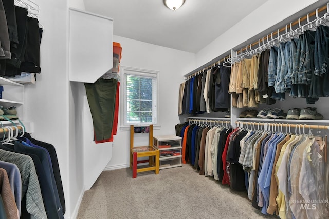 walk in closet featuring light carpet