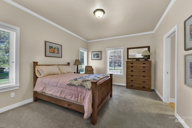 bedroom featuring crown molding, baseboards, and carpet