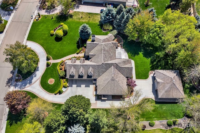 bird's eye view