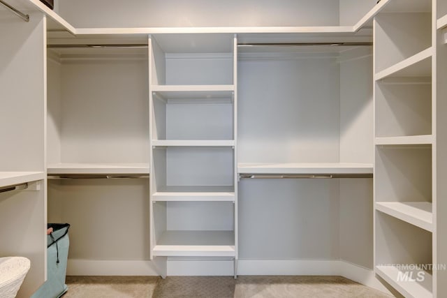 walk in closet featuring carpet flooring