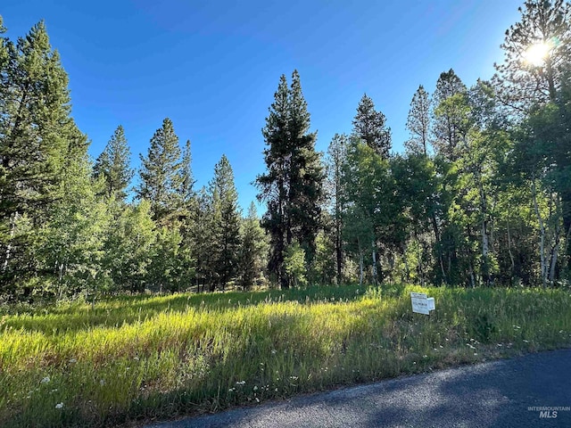 TBD Jughandle Dr, Mccall ID, 83638 land for sale