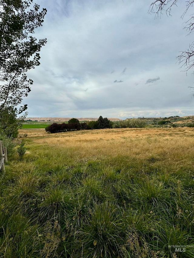 view of local wilderness featuring a rural view