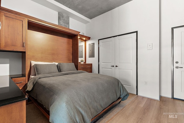 851 W Front St Unit 607, Boise, ID 83702 - bedroom with light wood finished floors and a closet