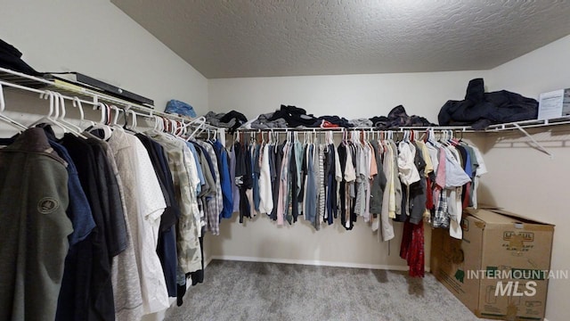 walk in closet with carpet