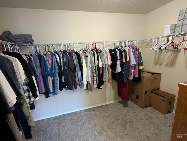 walk in closet with carpet floors