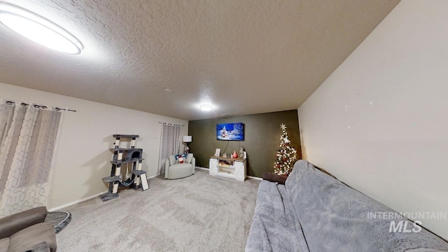 sitting room with carpet and a textured ceiling