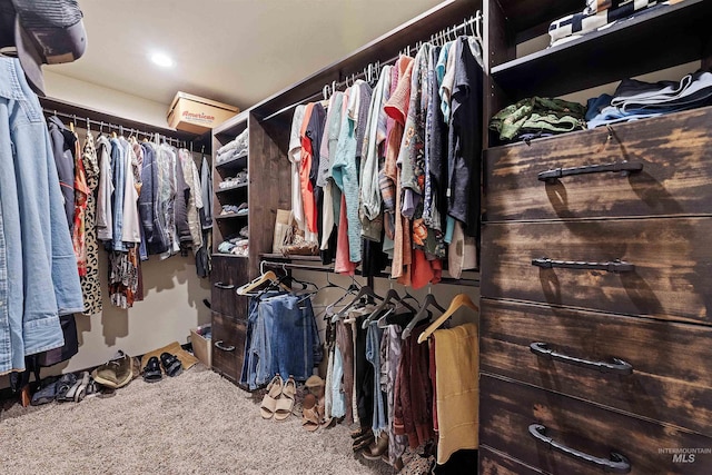 14051 Deerfield Rd, Mccall, ID 83638 - spacious closet featuring carpet