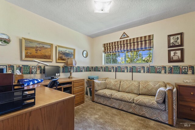 93 S Lancaster Dr, Nampa, ID 83651 - office space featuring carpet flooring and a textured ceiling