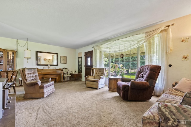 93 S Lancaster Dr, Nampa, ID 83651 - living room with carpet floors