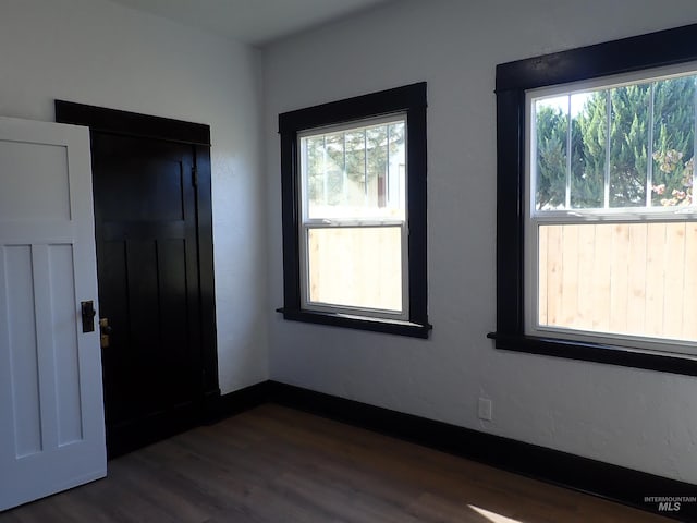 foyer entrance with plenty of natural light and dark wood-type flooring