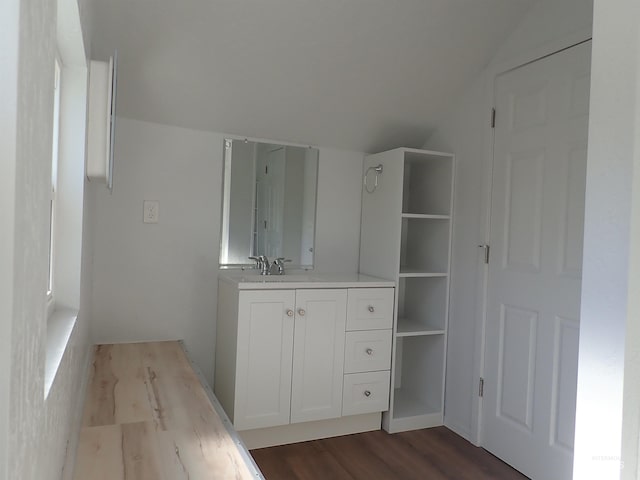 bathroom with hardwood / wood-style flooring and vanity