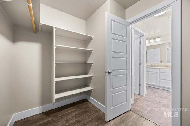 4991 N Sun Shimmer Ave, Meridian, ID 83646 - walk in closet with wood finished floors and a sink