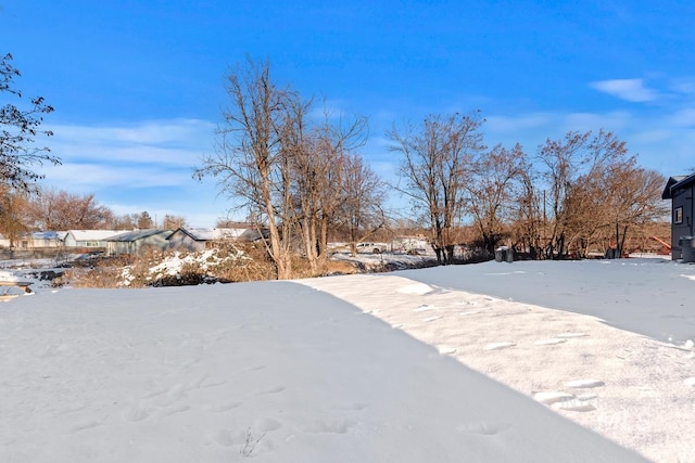 view of yard layered in snow