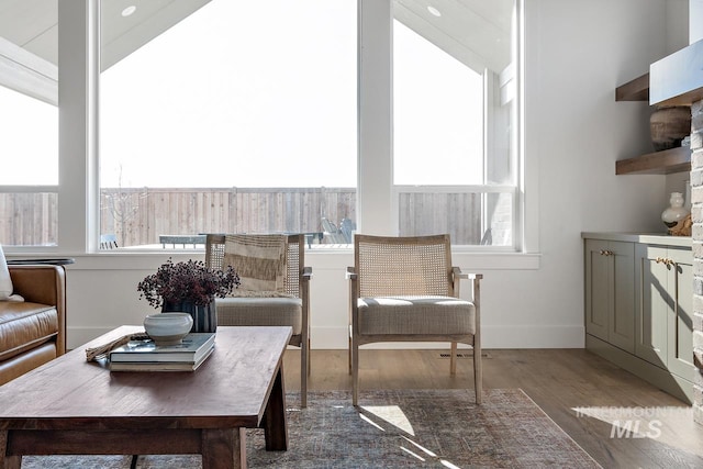 living room with wood-type flooring