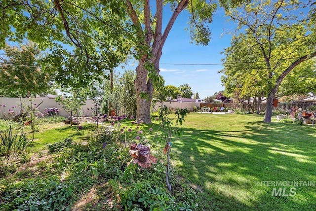 539 Rimview Dr, Twin Falls, ID 83301 - view of fenced backyard