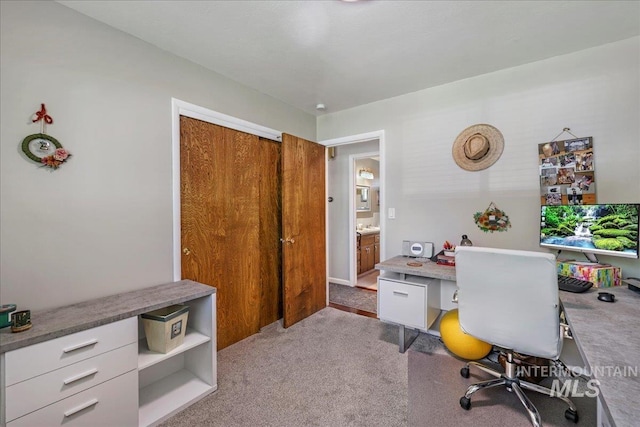 539 Rimview Dr, Twin Falls, ID 83301 - office area featuring carpet flooring