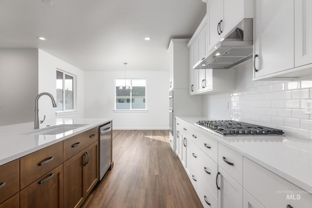 5485 N Patimos Ave, Meridian, ID 83646 - kitchen with appliances with stainless steel finishes, a sink, tasteful backsplash, under cabinet range hood, and dark wood-style floors