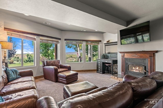 carpeted living room featuring a textured ceiling and a healthy amount of sunlight