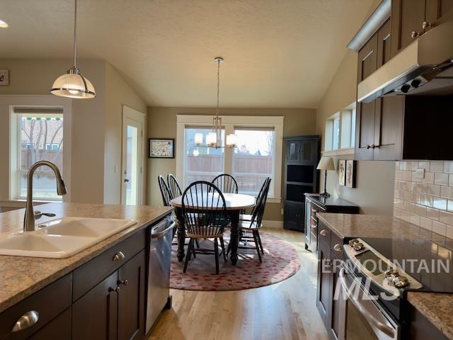 kitchen featuring lofted ceiling, sink, dark brown cabinets, and stainless steel appliances