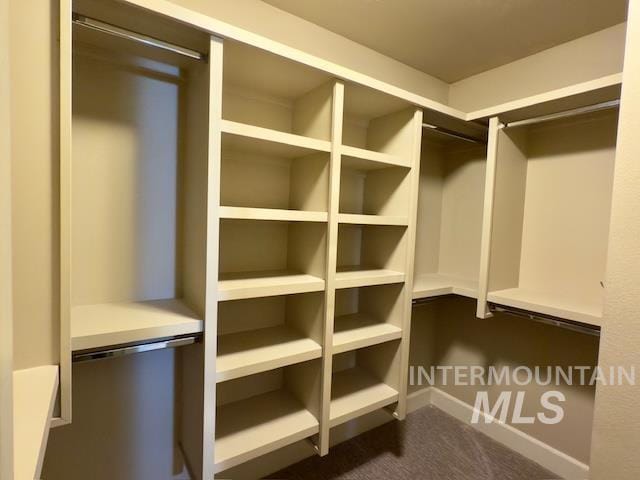 spacious closet featuring dark colored carpet