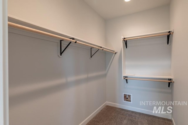 spacious closet with dark colored carpet