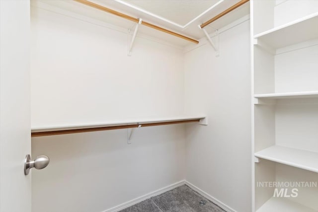 7267 Bowmont Rd, Nampa, ID 83686 - walk in closet with carpet floors