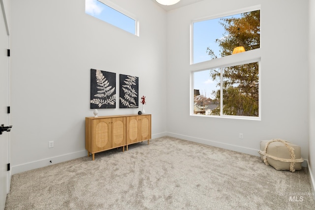 interior space with carpet, a high ceiling, and baseboards