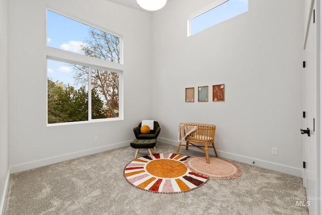 sitting room with a high ceiling, carpet flooring, and baseboards