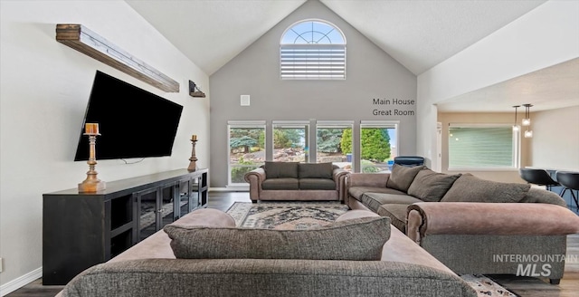 living room featuring wood finished floors, high vaulted ceiling, and baseboards