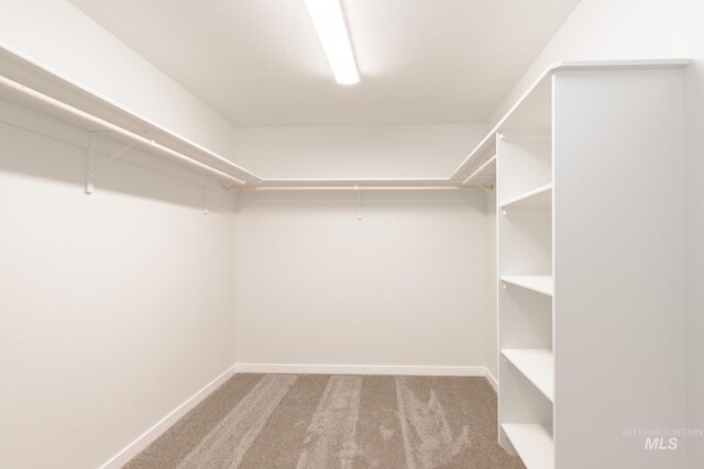 unfurnished bedroom with light carpet and a closet