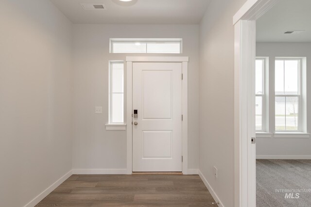 foyer featuring dark wood-type flooring and a healthy amount of sunlight