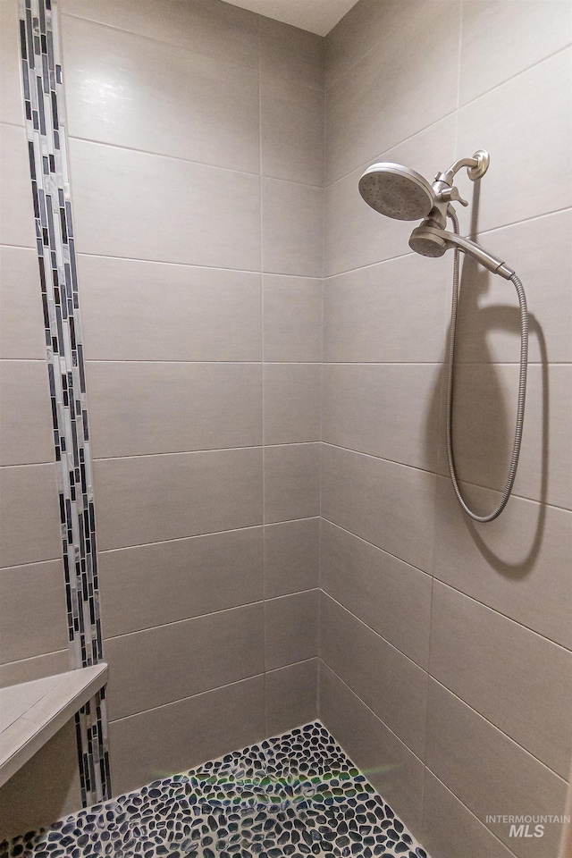 full bathroom with a tile shower