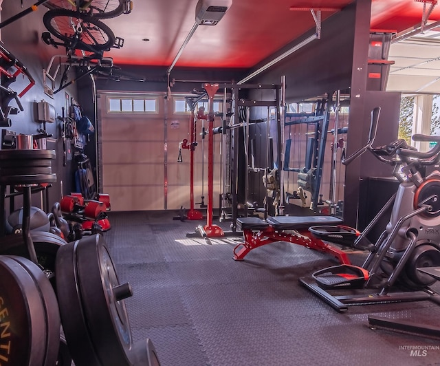 exercise room featuring carpet floors