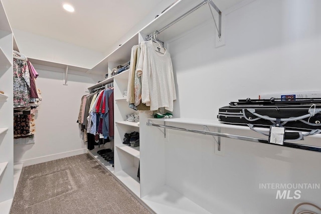 spacious closet featuring carpet