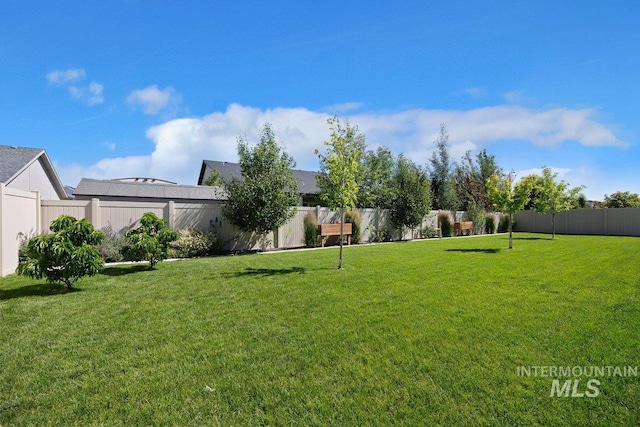view of yard with a fenced backyard