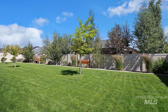 view of yard with a fenced backyard