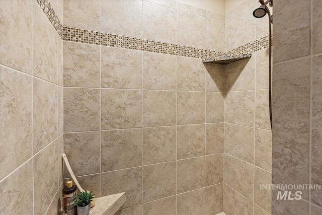 interior details with tiled shower